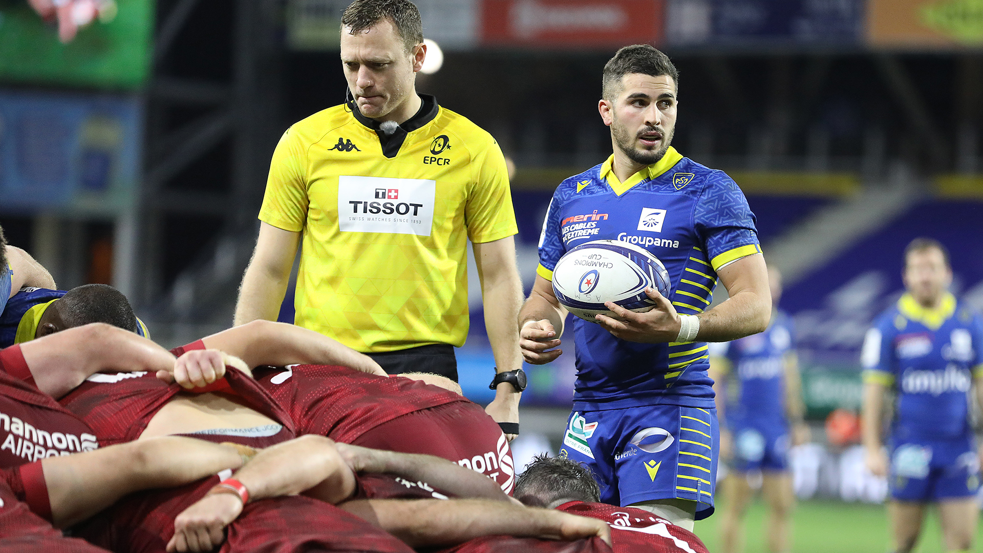 compo-wasps.jpg compo-wasps.jpg