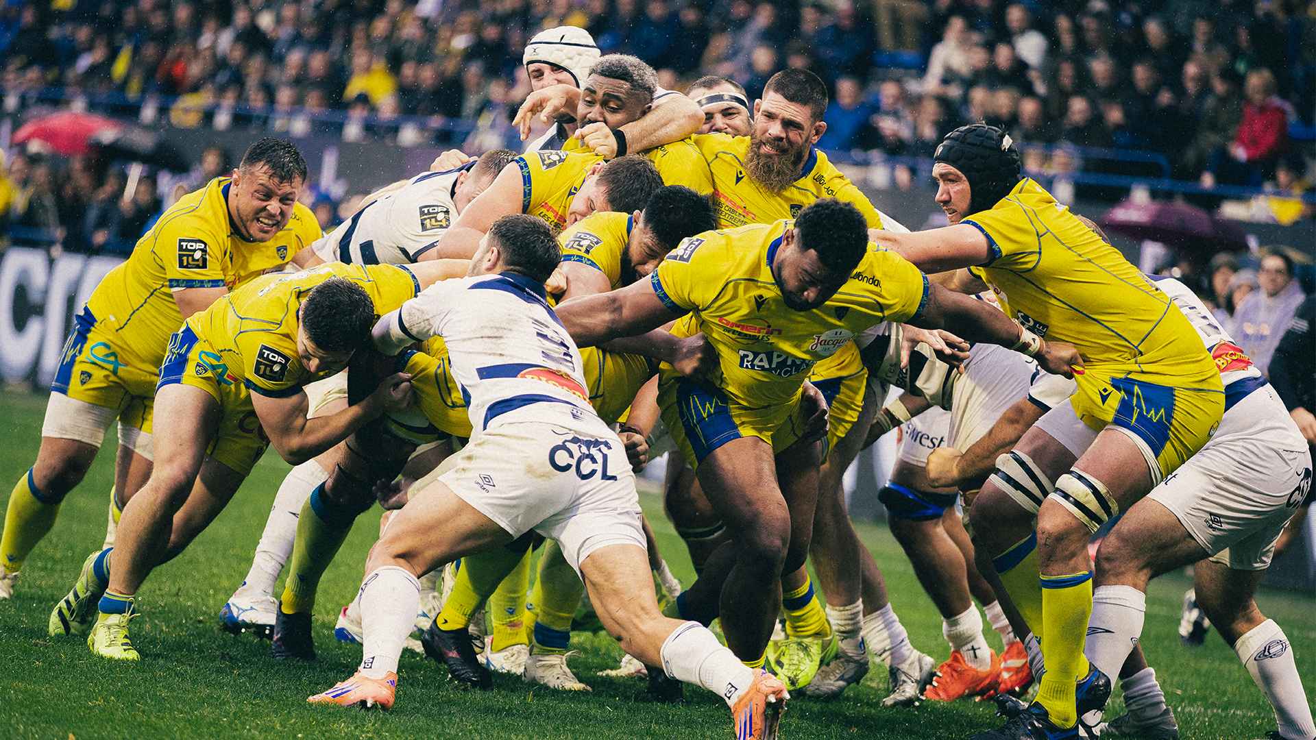 Gif Asm Rugby ASM Rugby