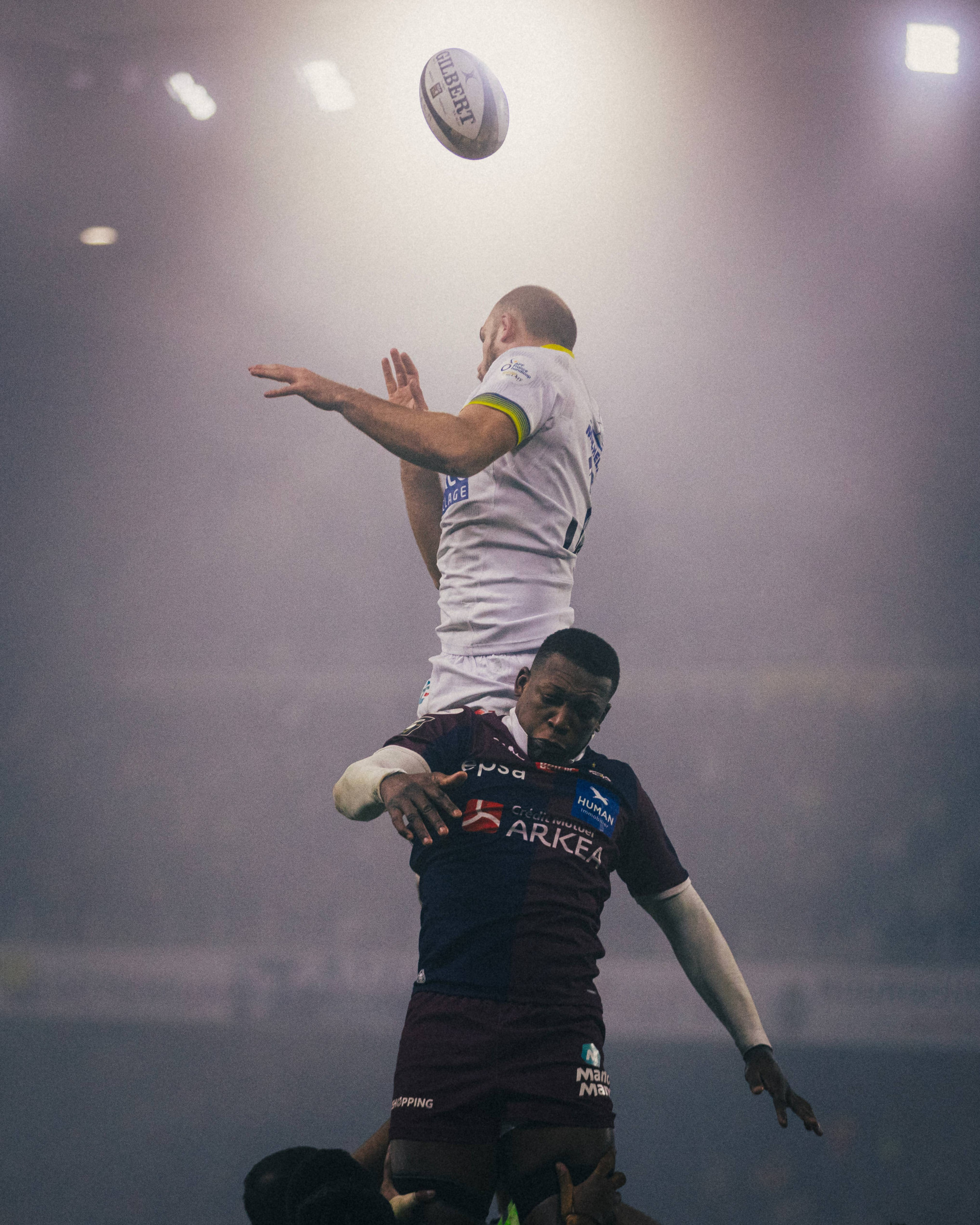 Désolé nous ne trouvons pas l'image