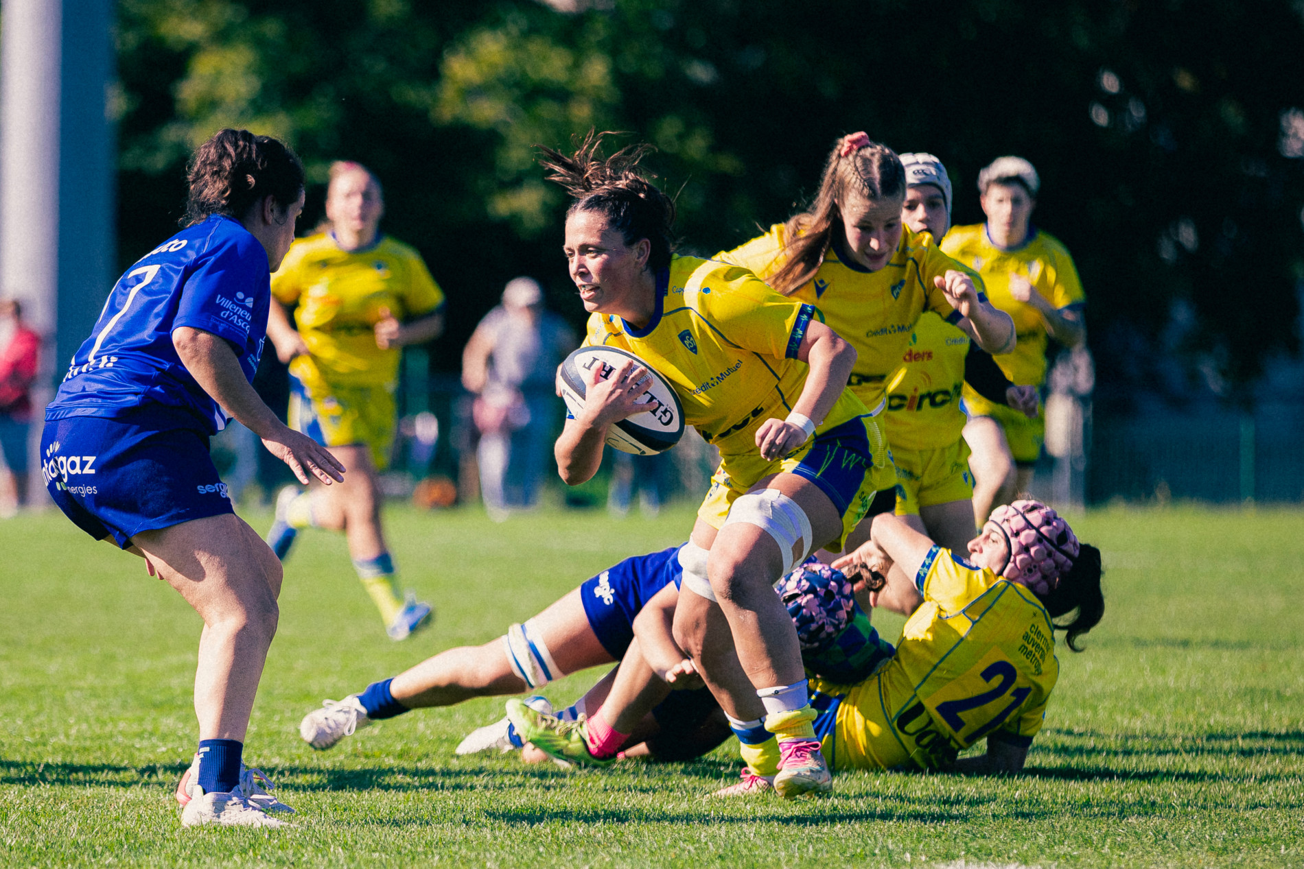 Désolé nous ne trouvons pas l'image