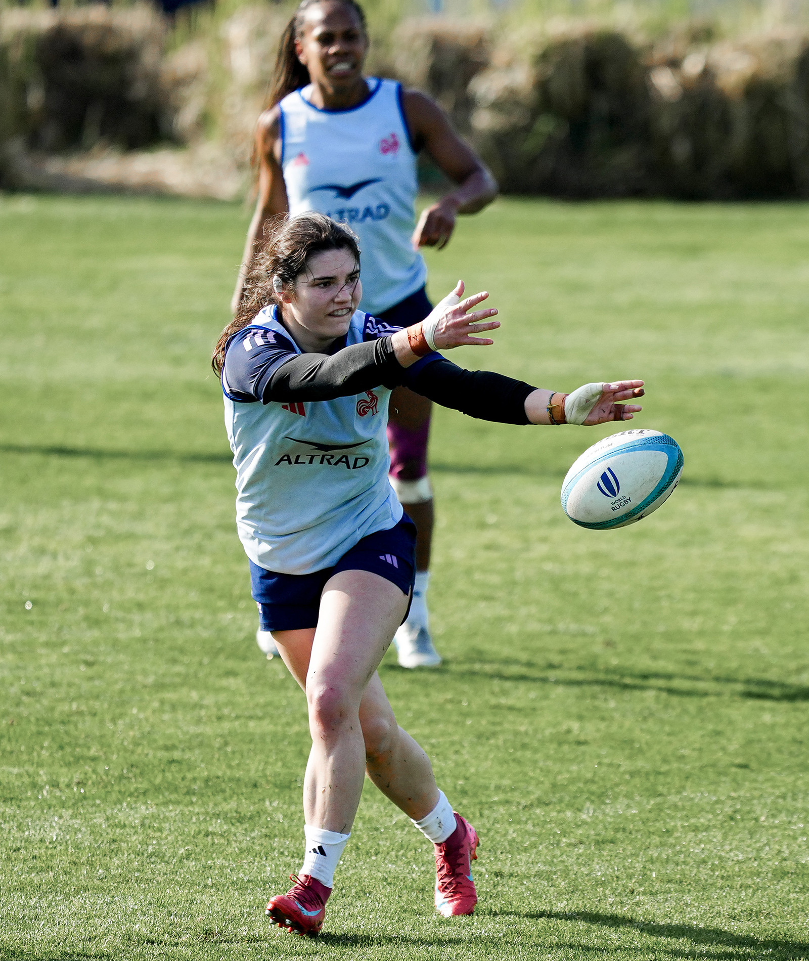 Désolé nous ne trouvons pas l'image