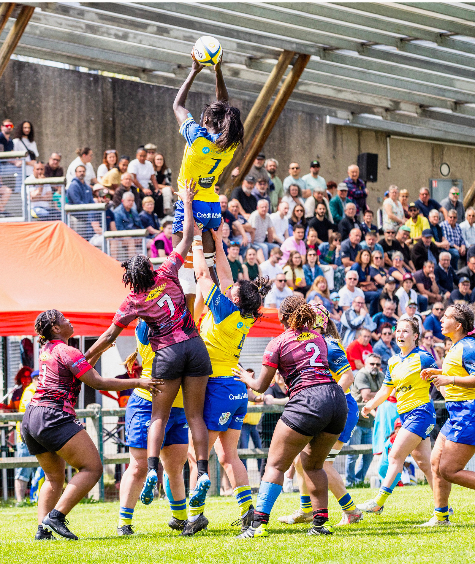 Désolé nous ne trouvons pas l'image