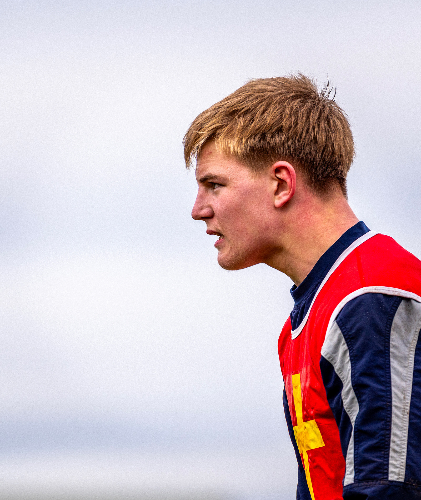 Désolé nous ne trouvons pas l'image