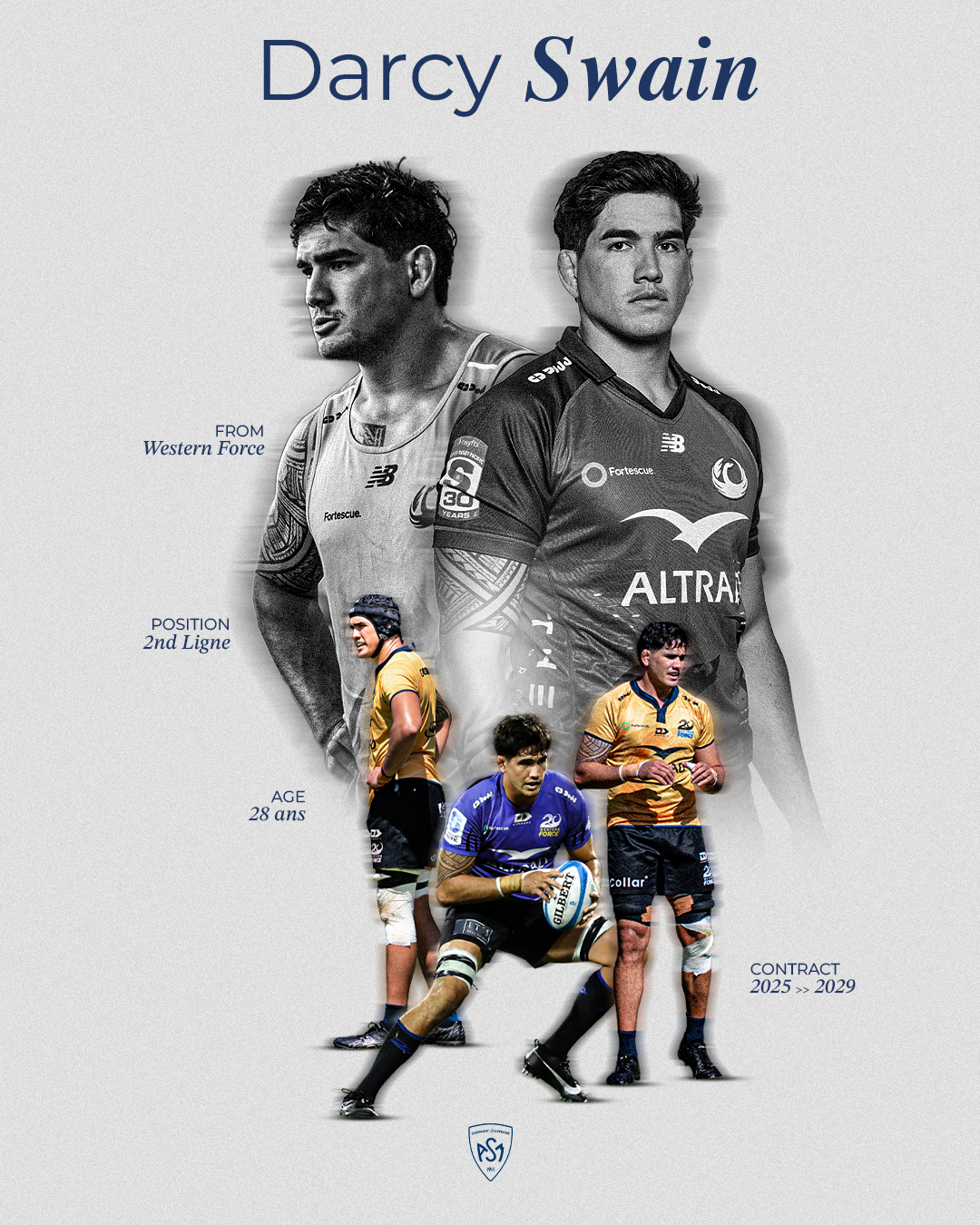 10269-swainy.png?v=1-0