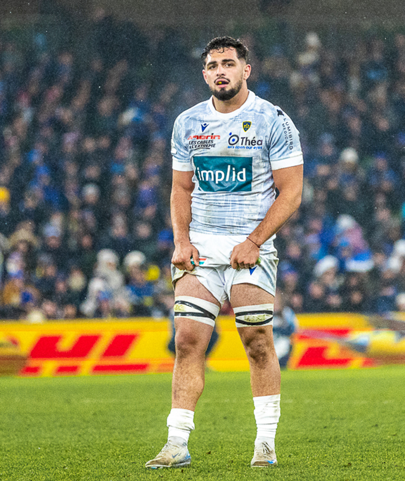 Désolé nous ne trouvons pas l'image